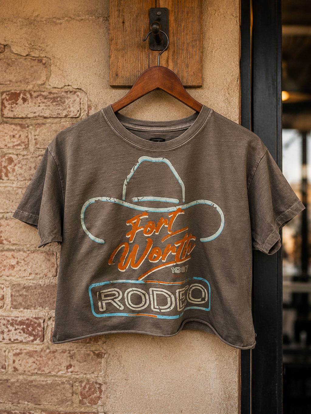 🤎 🩵The Dust & Neon Crop Tee 🩵🤎